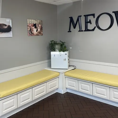 Cat lobby with the word MEOW on the wall.